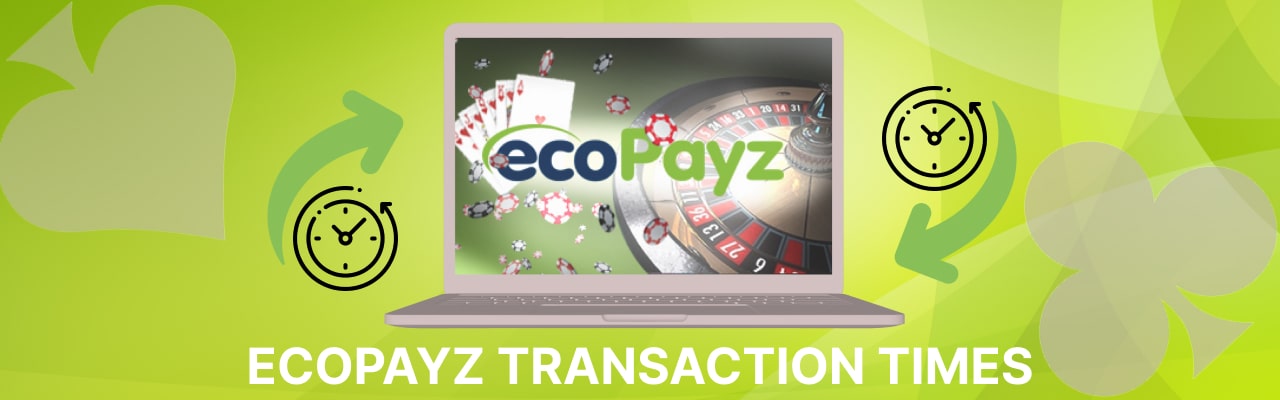 Ecopayz transaction times