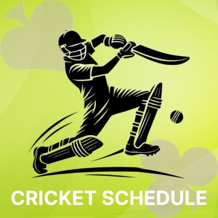 Your Ultimate Guide to India Cricket Schedule 2025