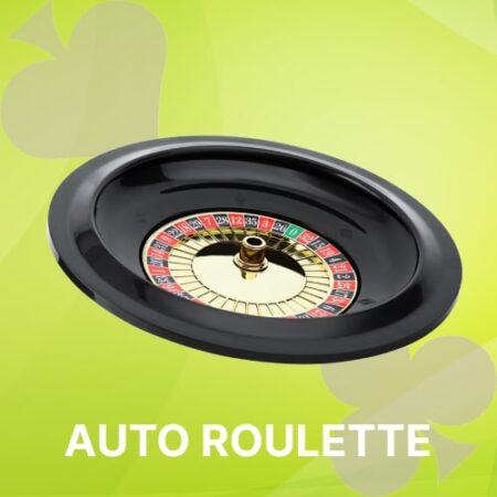 Auto Roulette Online Casino