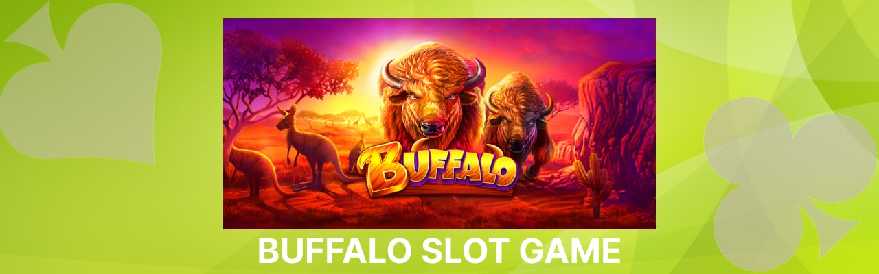 Buffalo slot game