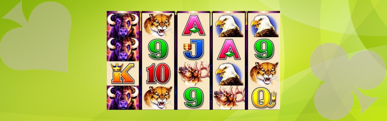 Play buffalo slot