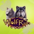 Wolf Run Slot Online